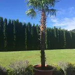 Viii Panorama-ferienwohnung Petzenblick アパート *