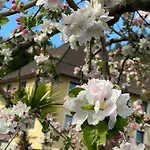 アパート Viii Panorama-ferienwohnung Petzenblick Smihel nad Pliberkom