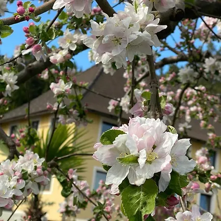 Appartamento Viii Panorama-ferienwohnung Petzenblick Smihel nad Pliberkom