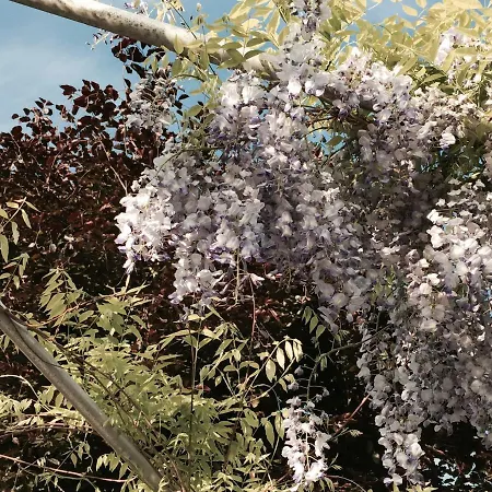 Viii Panorama-ferienwohnung Petzenblick * Smihel nad Pliberkom