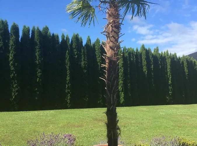 Viii Panorama-ferienwohnung Petzenblick Apartament *