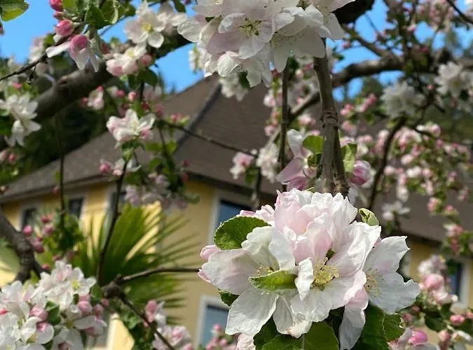 Apartament Viii Panorama-ferienwohnung Petzenblick Smihel nad Pliberkom