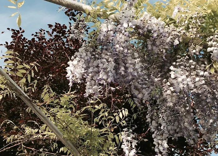 Viii Panorama-ferienwohnung Petzenblick * Smihel nad Pliberkom